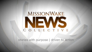 MW-News-Collectiv-e-Preview