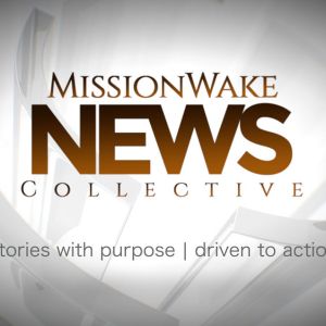 MW-News-Collectiv-e-Preview