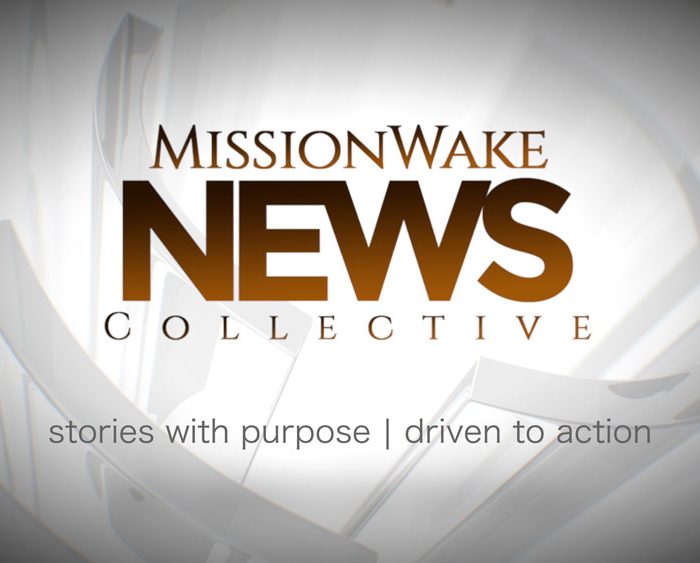 MW-News-Collectiv-e-Preview