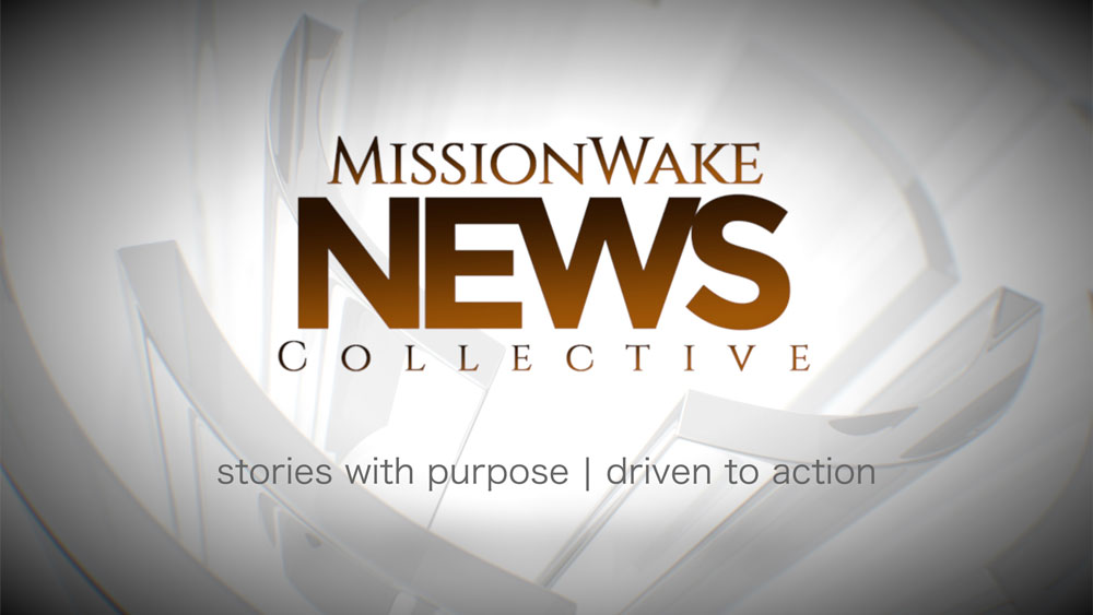 MW-News-Collectiv-e-Preview